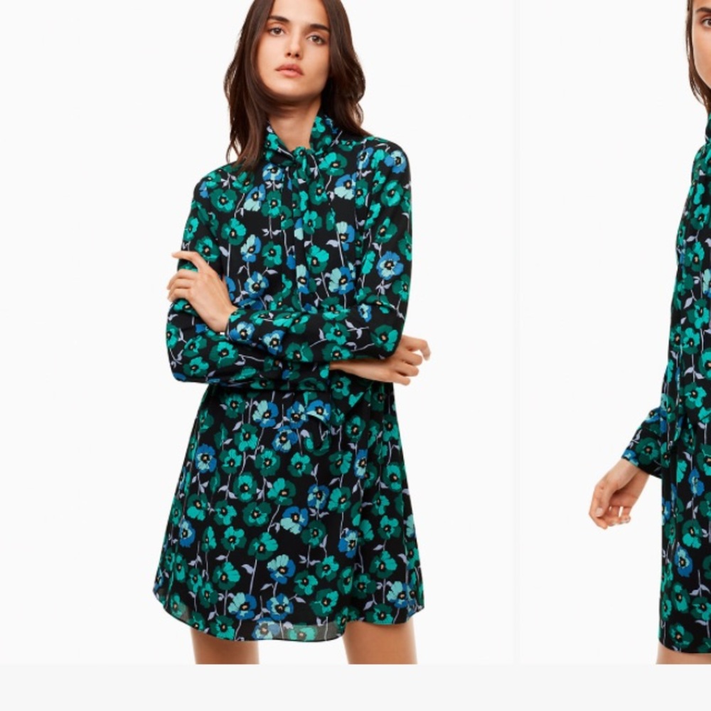 Does anyone have this Aritzia dress in xx small